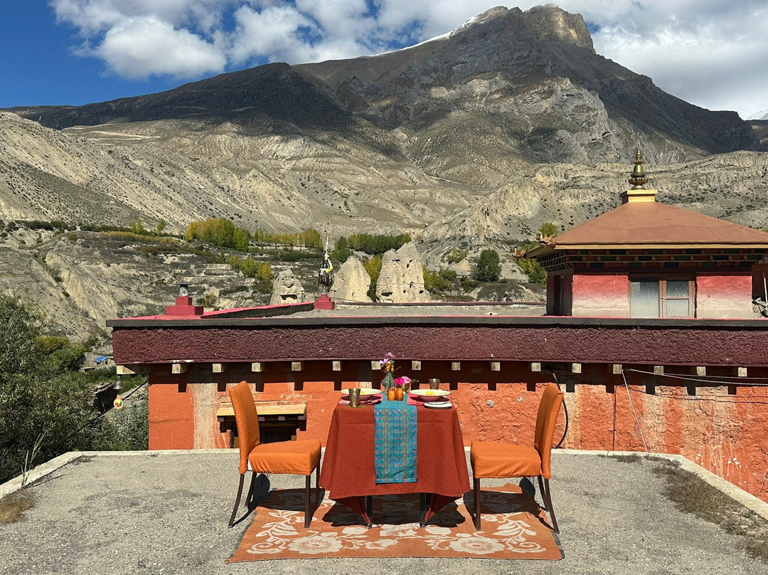 Shinta Mani Mustang主图