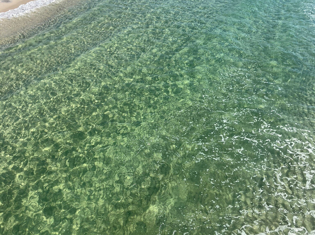 Gulf Shores State Park