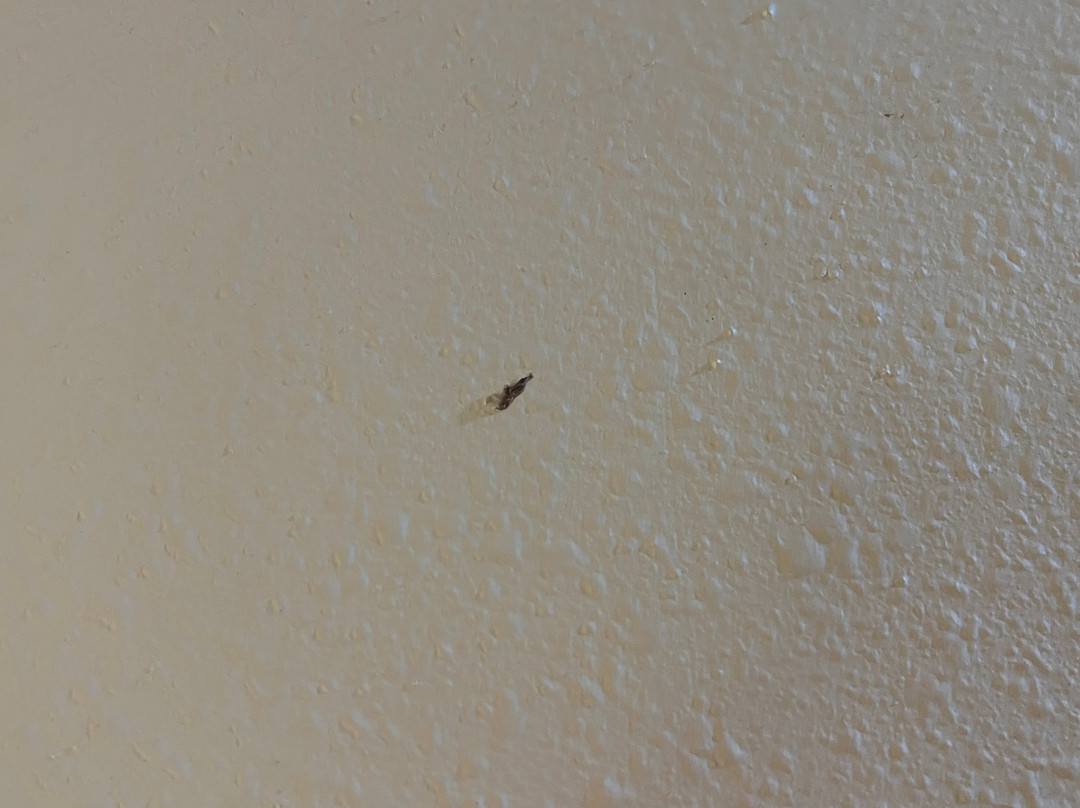 Country Inn & Suites by Radisson, West Valley City, UT主图