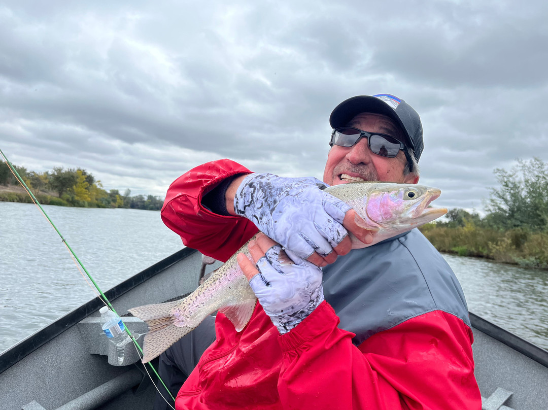 雷丁牛津套房酒店主图