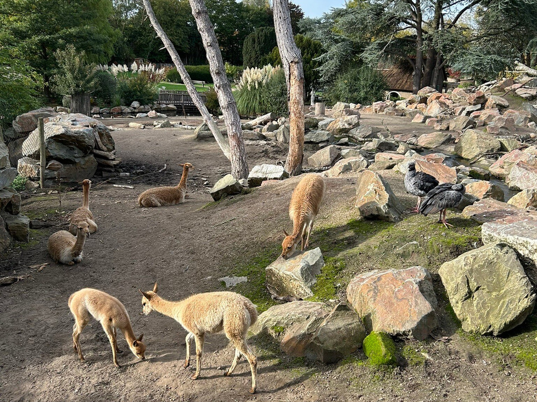 Vogelpark Avifauna-Alphen aan den Rijn必去景点
