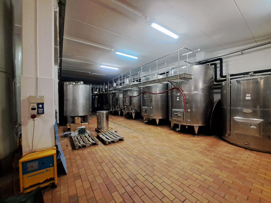 Marco's Way Wine Tours-Ostra必去景点
