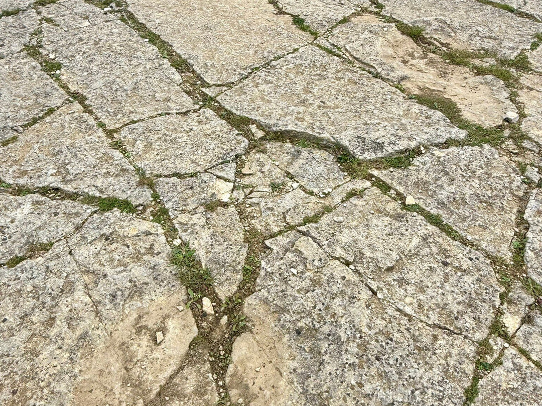 Keates Quarry Dinosaur Footprints-Langton Matravers必去景点