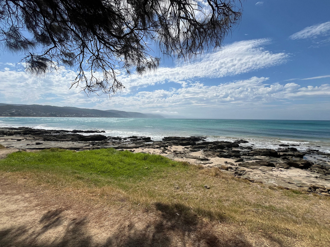 Doug Stirling Walking Track
