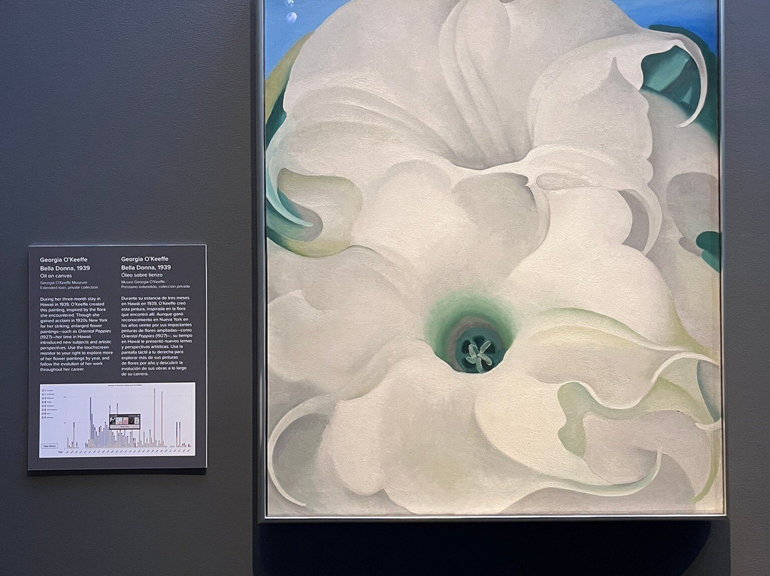 Georgia O'Keeffe Museum-圣菲必去景点