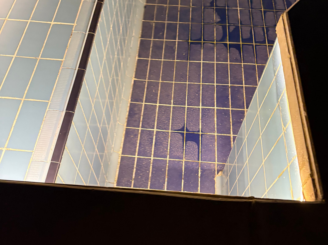 SUNRISE M/S Semiramis I主图