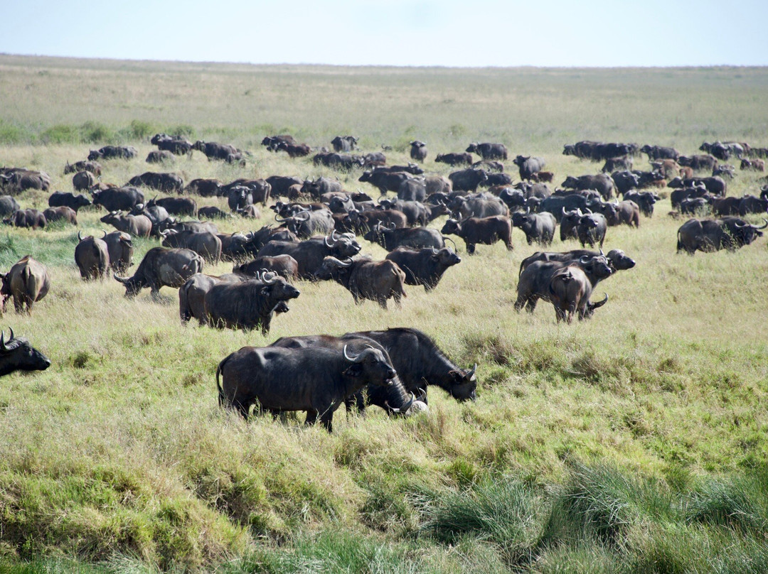Earthlife Expeditions-阿鲁沙必去景点