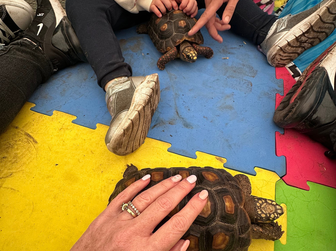 Holmes Chapel Zoo-Holmes Chapel必去景点