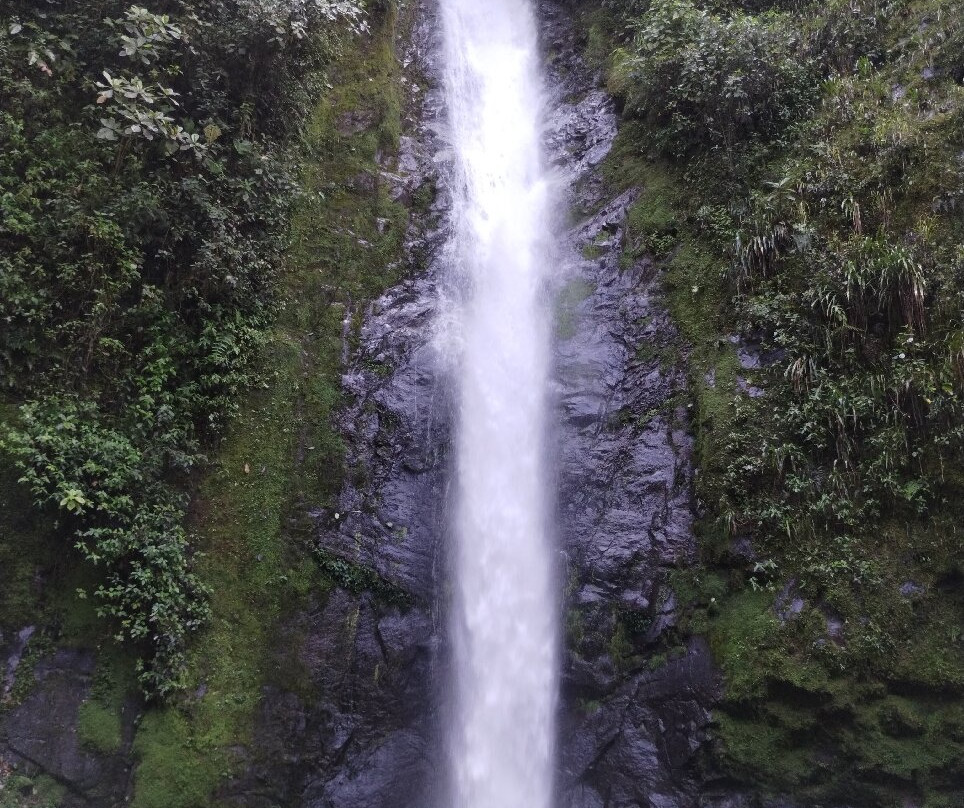 Rio Bravo Reserve-明多必去景点