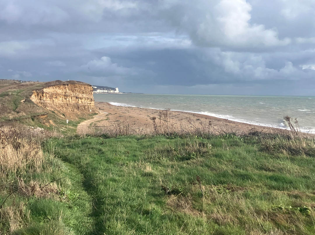 Combe Valley Countryside Park-St Leonards-on-Sea必去景点