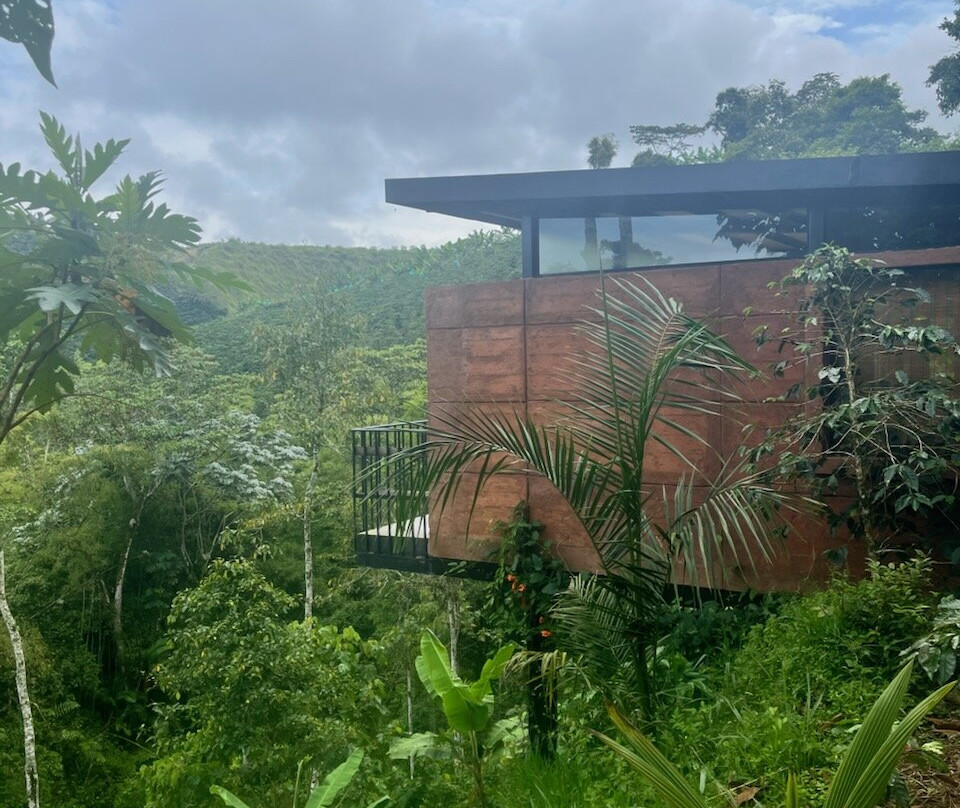 Lulo Colombia-波哥大必去景点