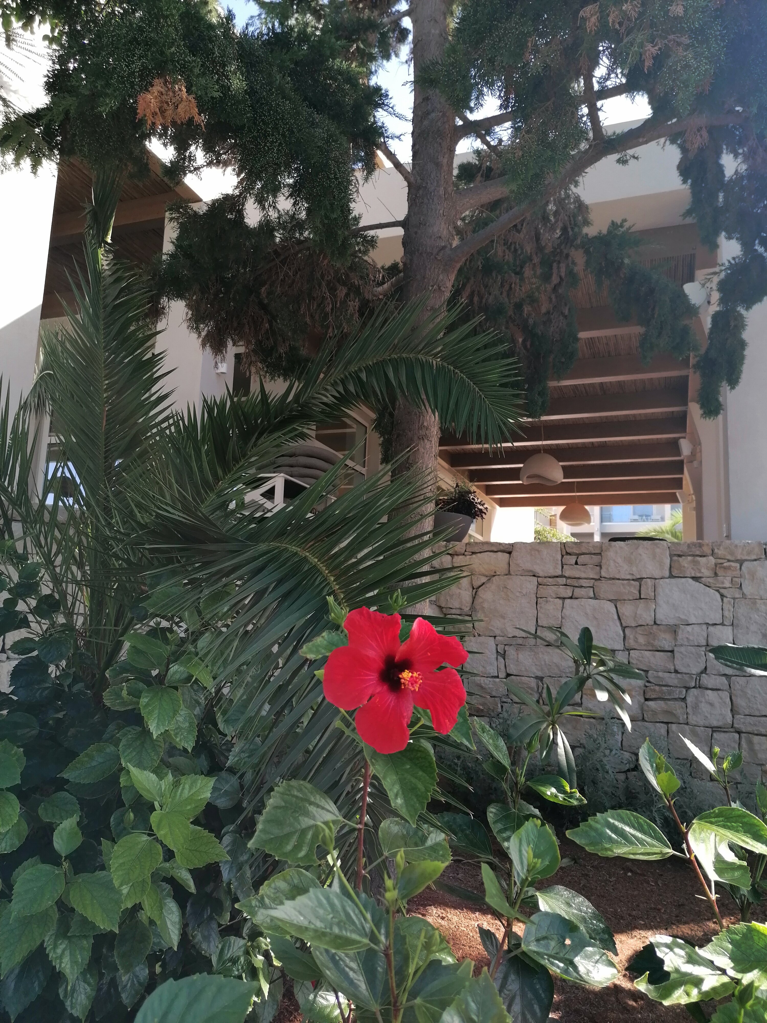 Anissa Beach & Village Hotel-官方