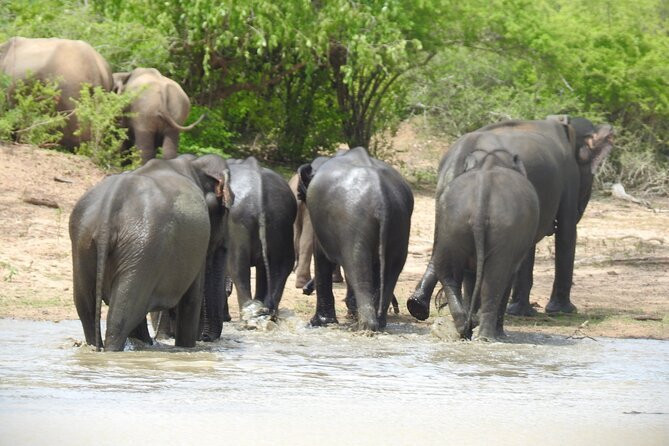 Kumudu Lanka Leisure