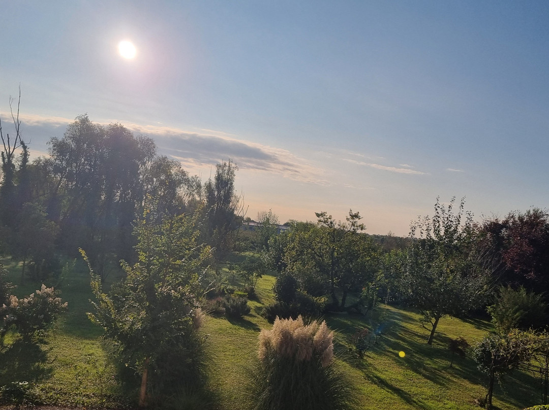 Hotel Al Gallo主图