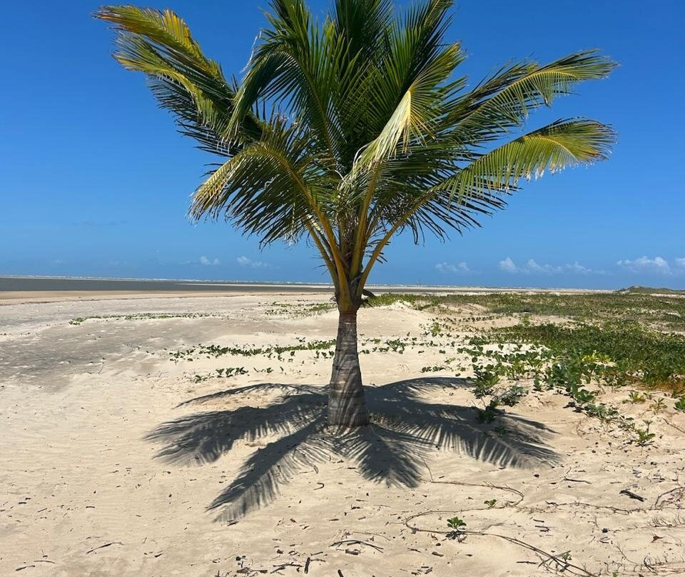 Ilha dos Namorados-Itaporanga d'Ajuda必去景点
