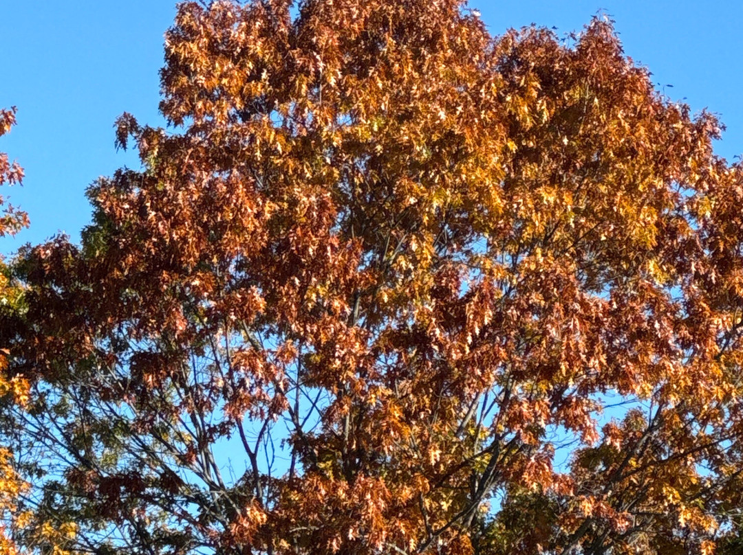 Holiday Inn Express & Suites Brattleboro by IHG主图