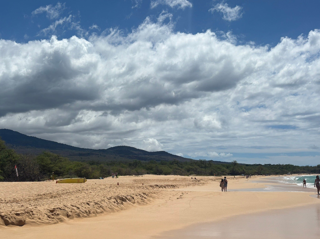 Makena State Park-维雷亚必去景点