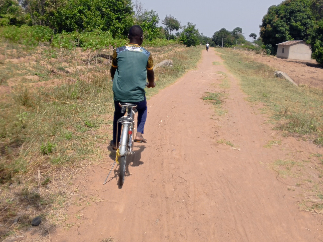 Ukerewe Island Tour Guide-Nansio必去景点