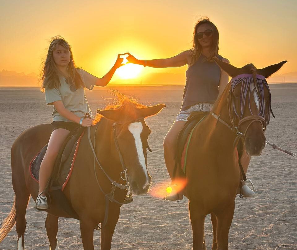 Horse Trips Iryna-赫尔格达必去景点