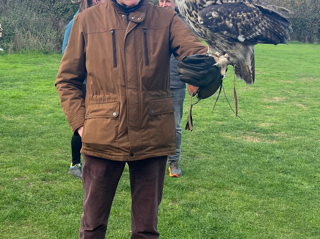 Feathers and Fur Falconry Centre-布拉克内尔必去景点
