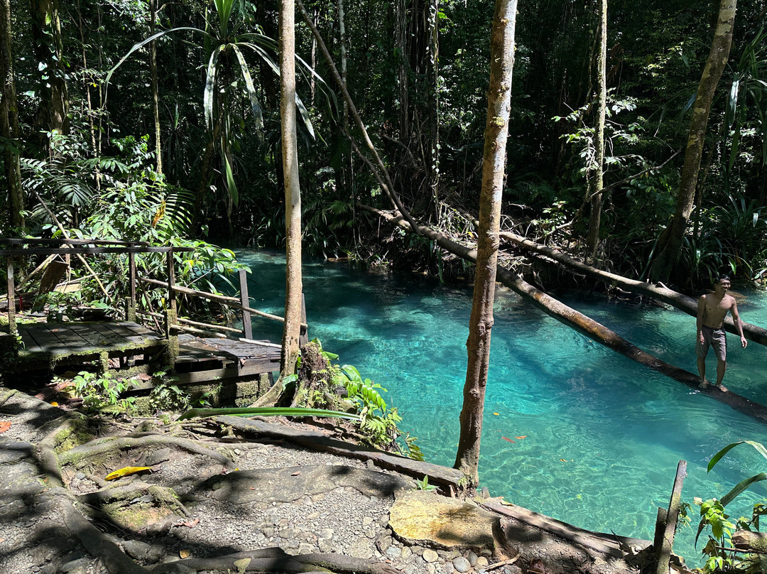 Dive Into Raja Ampat At Waiwo Resort