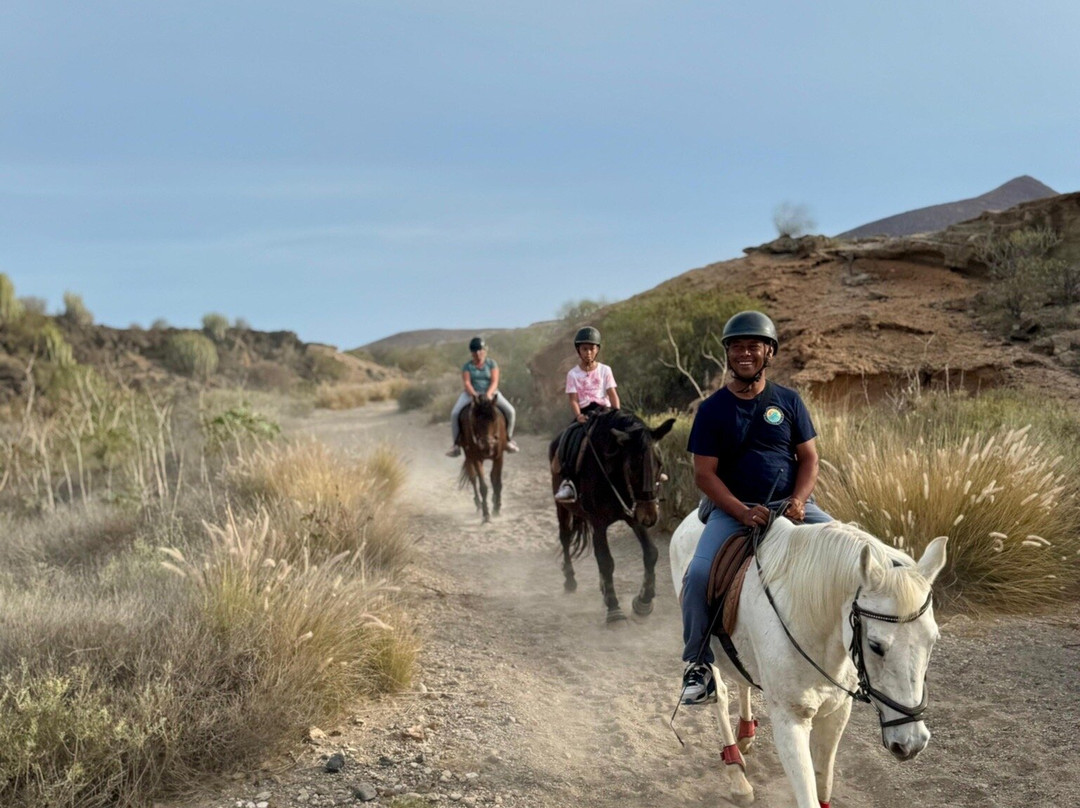 Hipica Cuadras El Medano-El Medano必去景点
