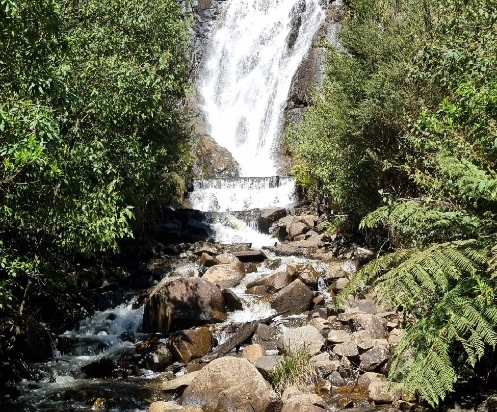 Steavenson Falls-Marysville必去景点