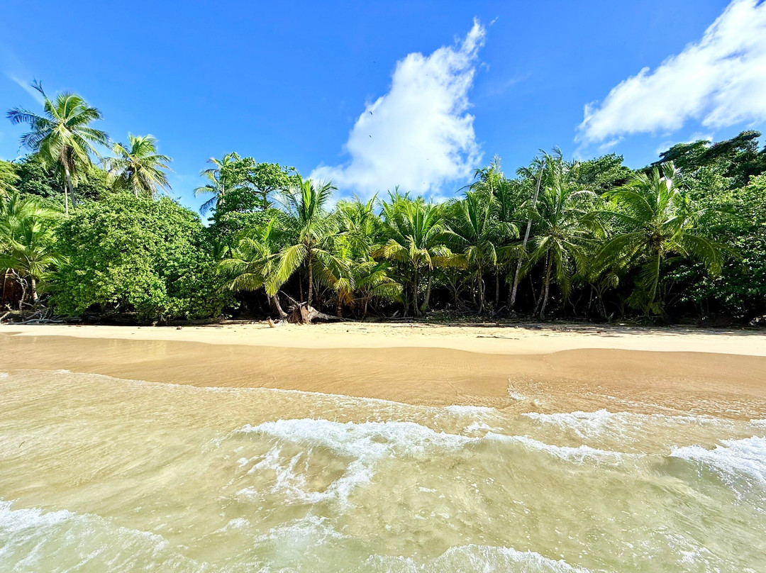 马里诺岛巴斯蒂门多斯国家公园-博卡斯镇必去景点