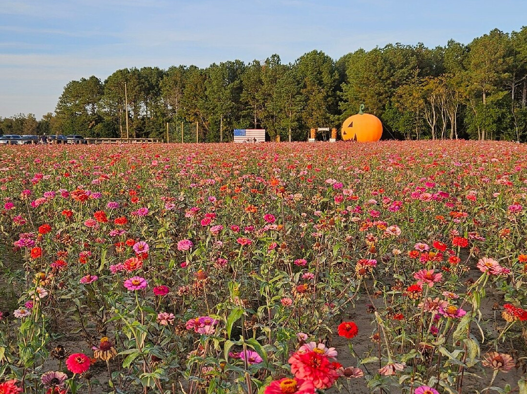 Sara's Farm Adventure-Trenton必去景点