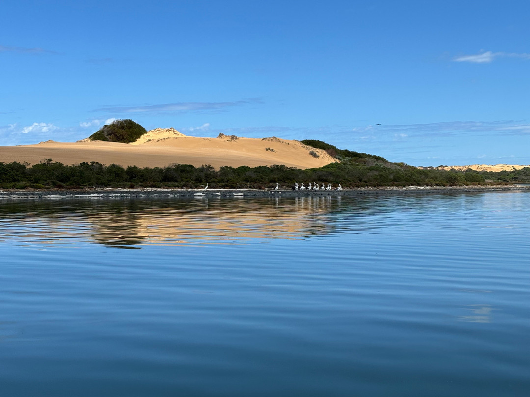 Coorong Wildside Tours-Meningie必去景点