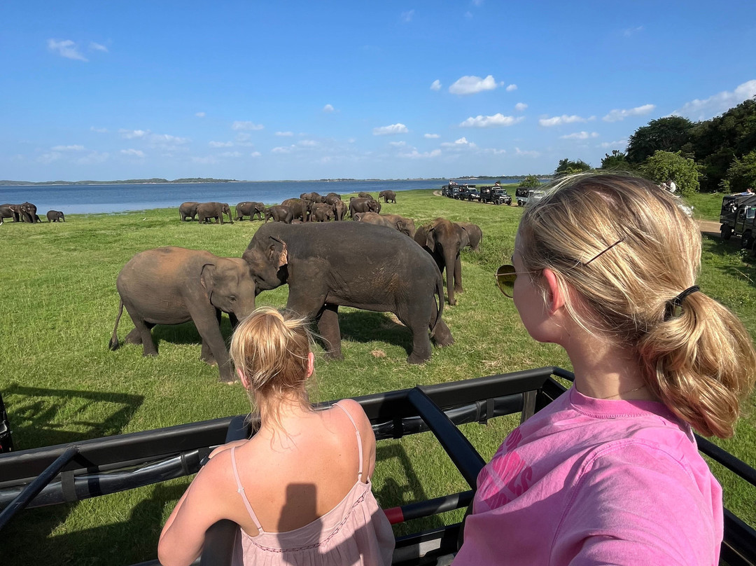 Lakpura LLC-科伦坡必去景点