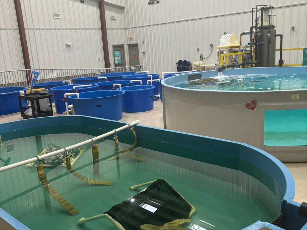 The Karen Beasley Sea Turtle Rescue and Rehabilitation Center-Surf City必去景点