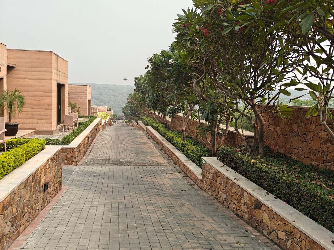 The Lalit Mangar主图