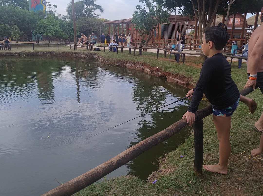 Barretos Country Thermas Park-Barretos必去景点