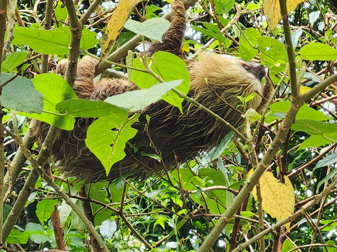 My Costa Rica-圣何塞必去景点