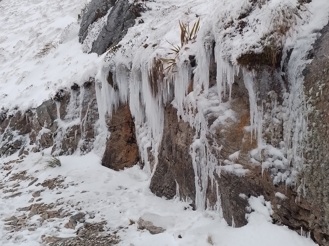 The Old Ghost Road-韦斯特波特必去景点