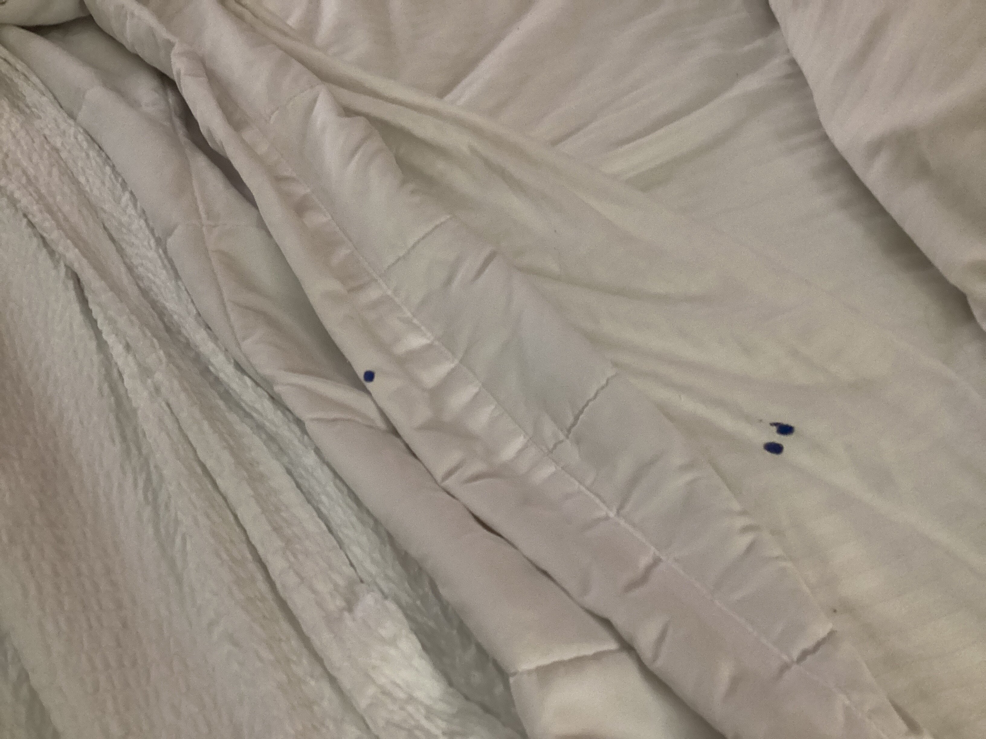 La Quinta Inn & Suites by Wyndham Lackawanna-官方