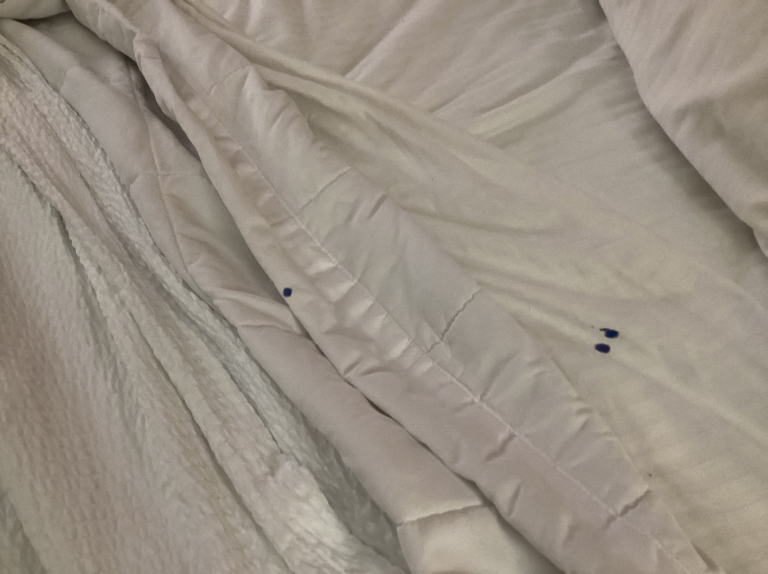 La Quinta Inn & Suites by Wyndham Lackawanna主图