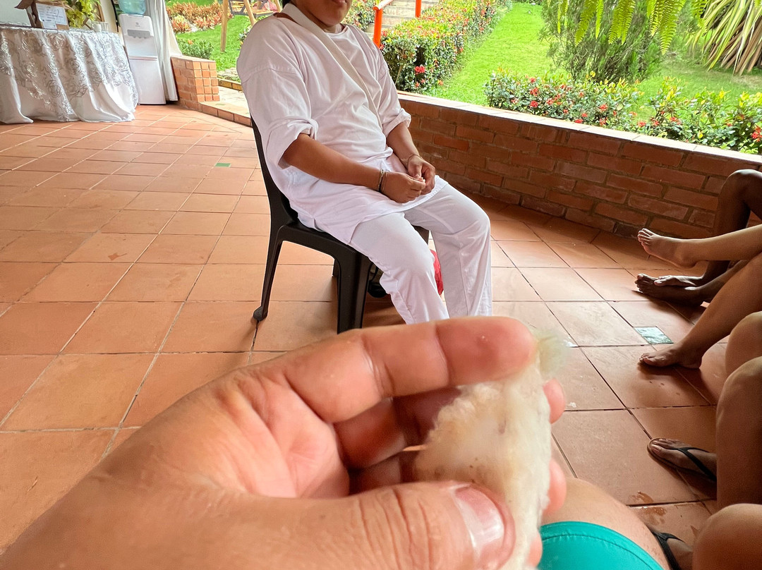 Museo Indigena Ancestral-Minca必去景点