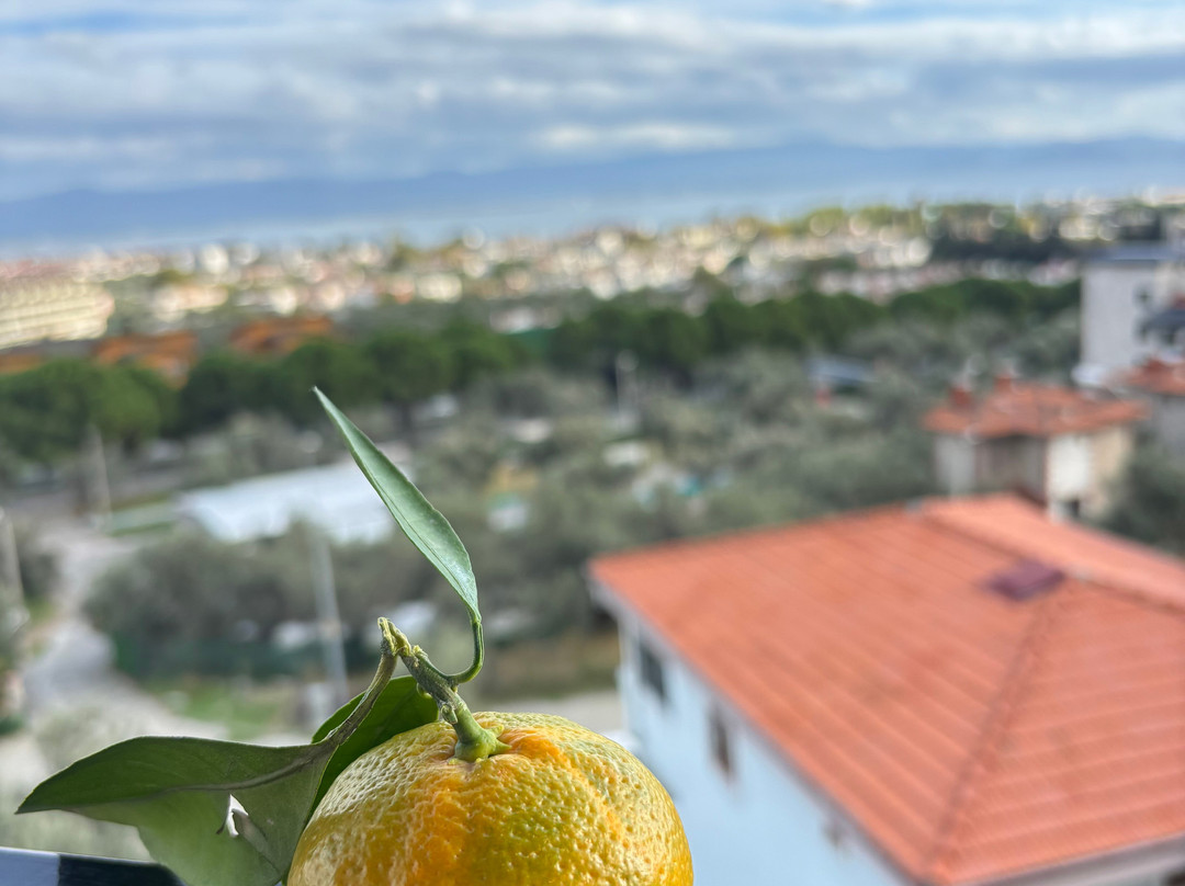 1774 Kazdagi Termal Butik Otel主图