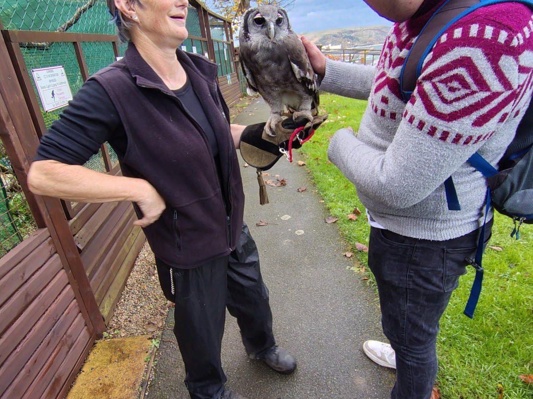 The Owls Trust-兰迪德诺必去景点