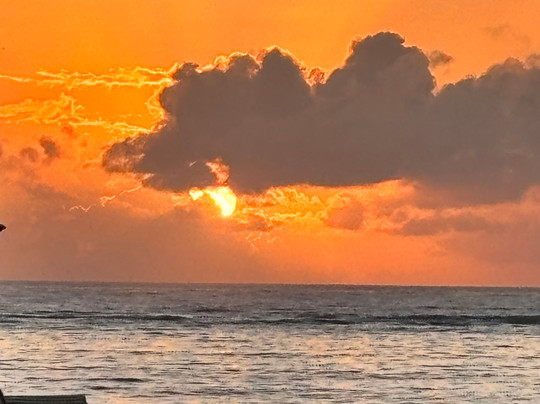 Mambo Paradise主图