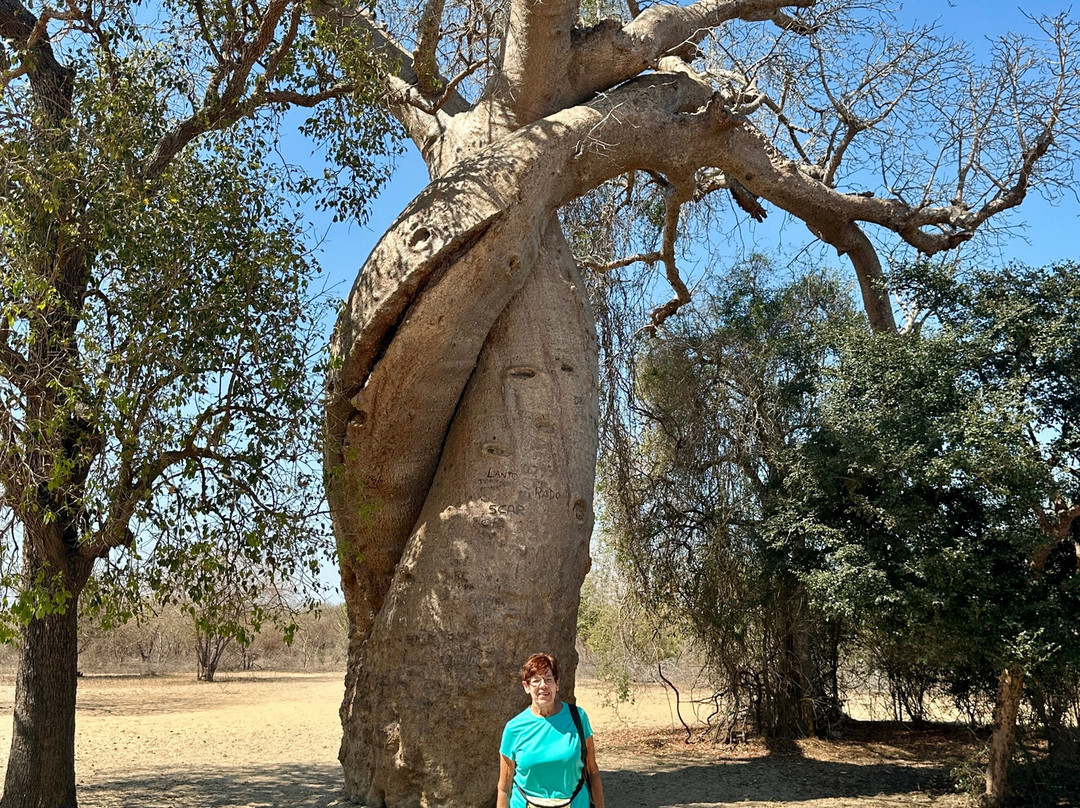Remote River Expeditions - Madagascar-Morondava必去景点