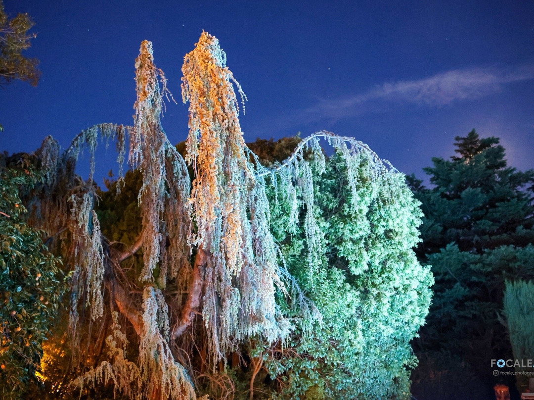 Hotel du Moulin d'Aure主图