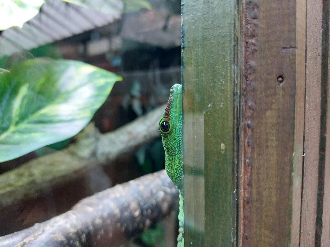 Bugtopia Hornsea Zoo-Hornsea必去景点