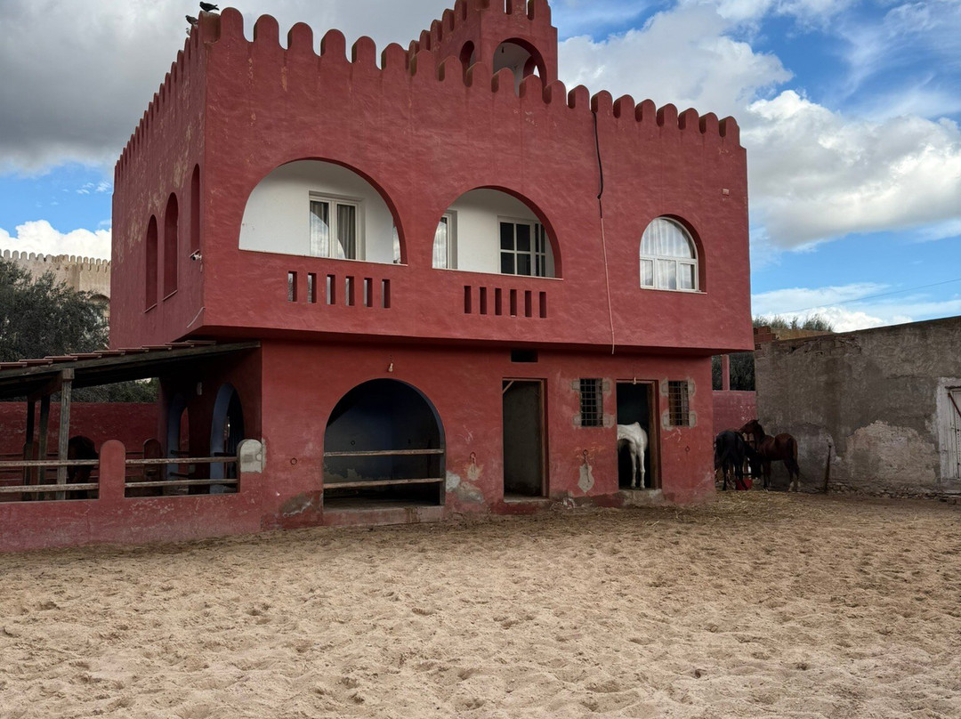 Club Equus Hammamet-哈玛麦德必去景点