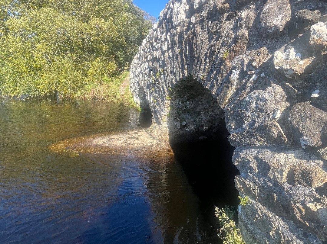 Danagher's Hotel主图