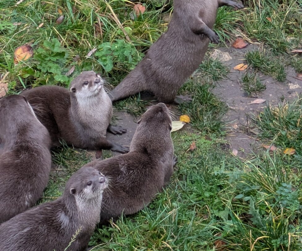 Peak Wildlife Park-Winkhill必去景点