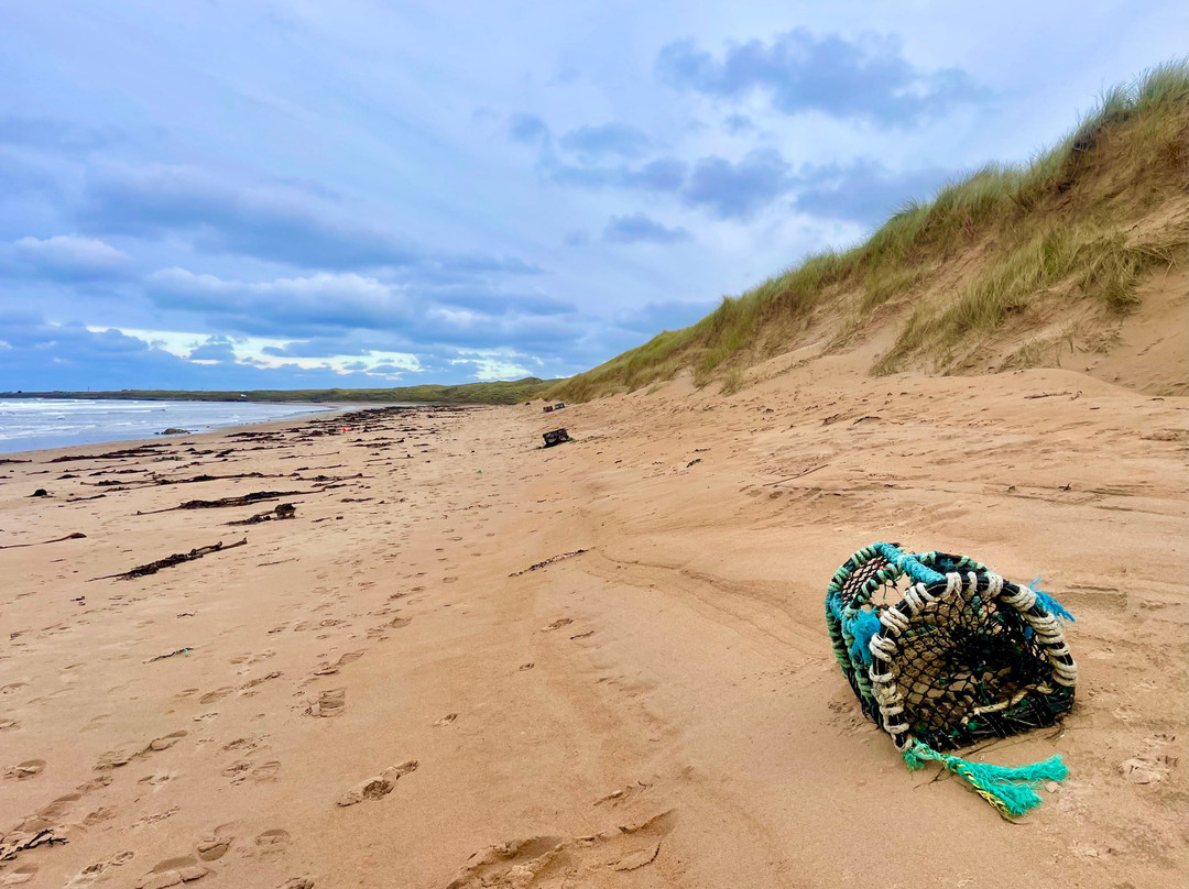 Waters of Philorth local nature reserve-Fraserburgh必去景点