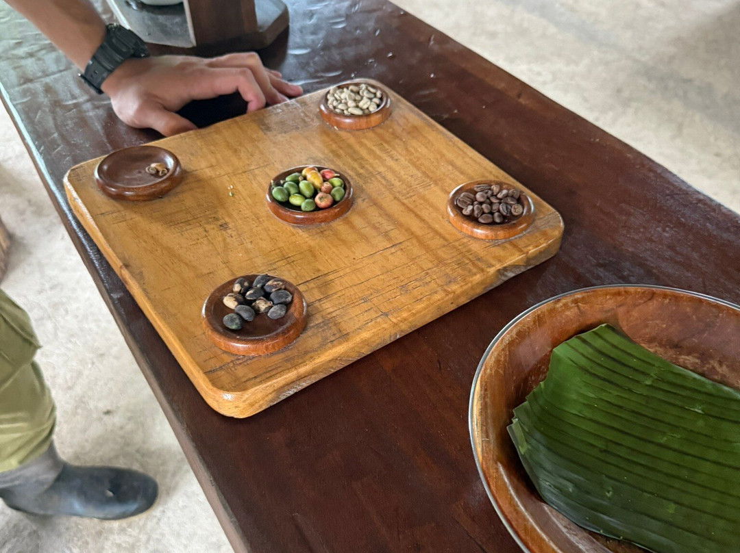 Cafe & Cacao Tour Bijagua-Bijagua de Upala必去景点